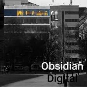 Vækst obsidian digital podcast